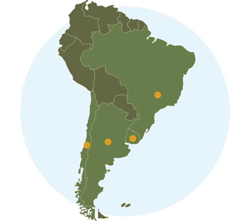 wines from south america